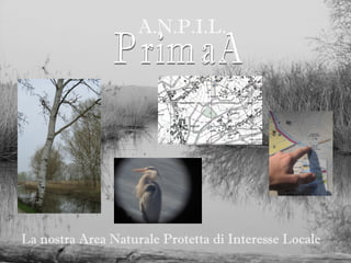 A.N.P.I.L.




La nostra Area Naturale Protetta di Interesse Locale
 