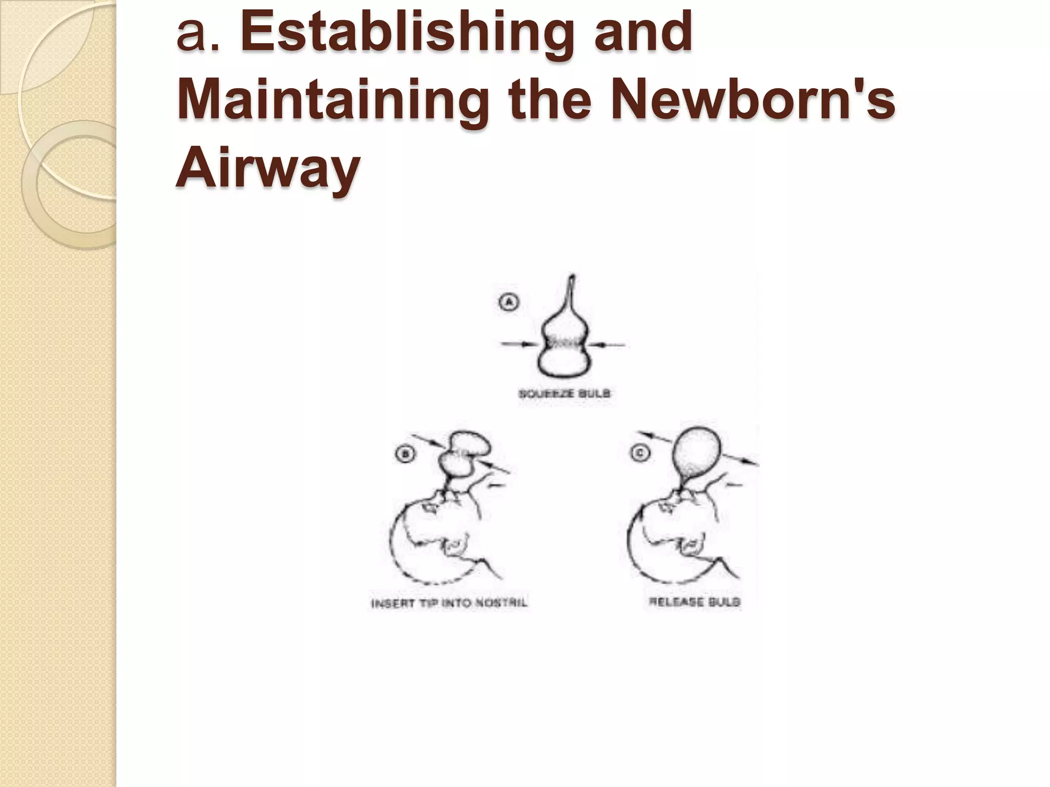 newborn growth n development | PPTX