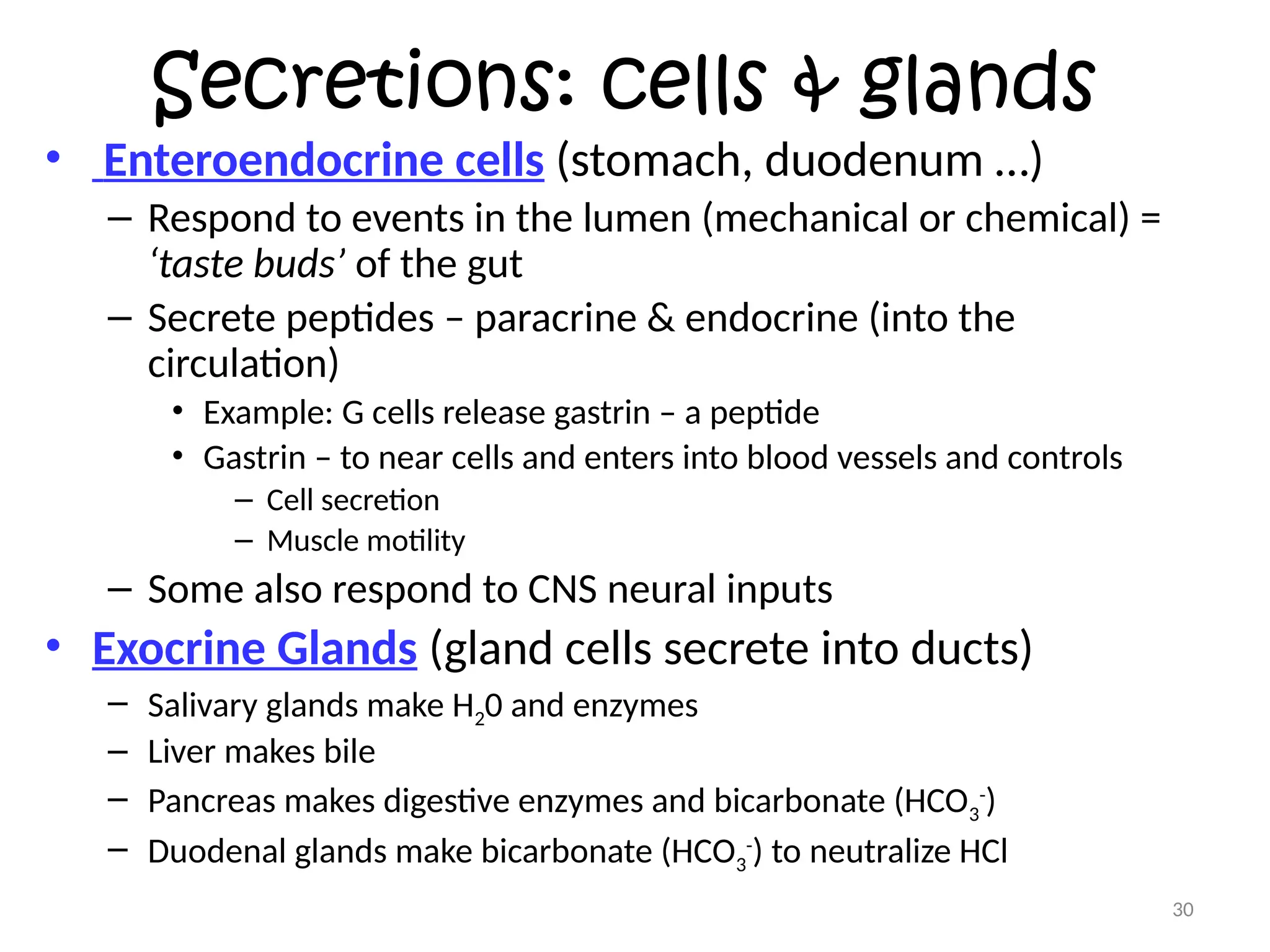 Secretions Example Fisiología y anatomía del sistema digestivo | PPTX