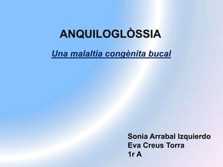 ANQUILOGLÒSSIA Una malaltia congènita bucal  Sonia Arrabal Izquierdo Eva Creus Torra 1r A 