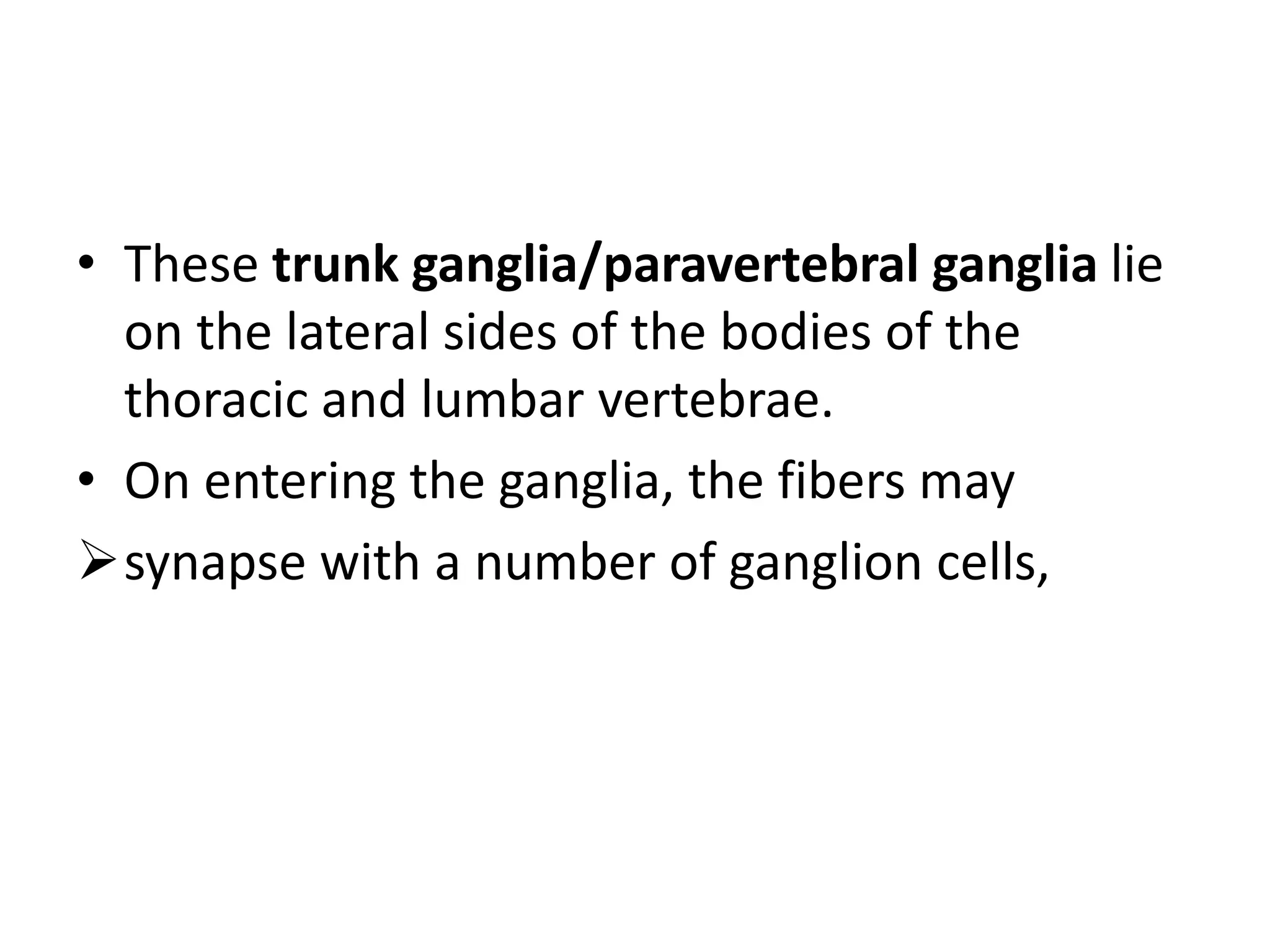 • These trunk ganglia/paravertebral ganglia lie
  on the lateral sides of the bodies of the
  thoracic and lumbar vertebrae.
• On entering the ganglia, the fibers may
synapse with a number of ganglion cells,
 