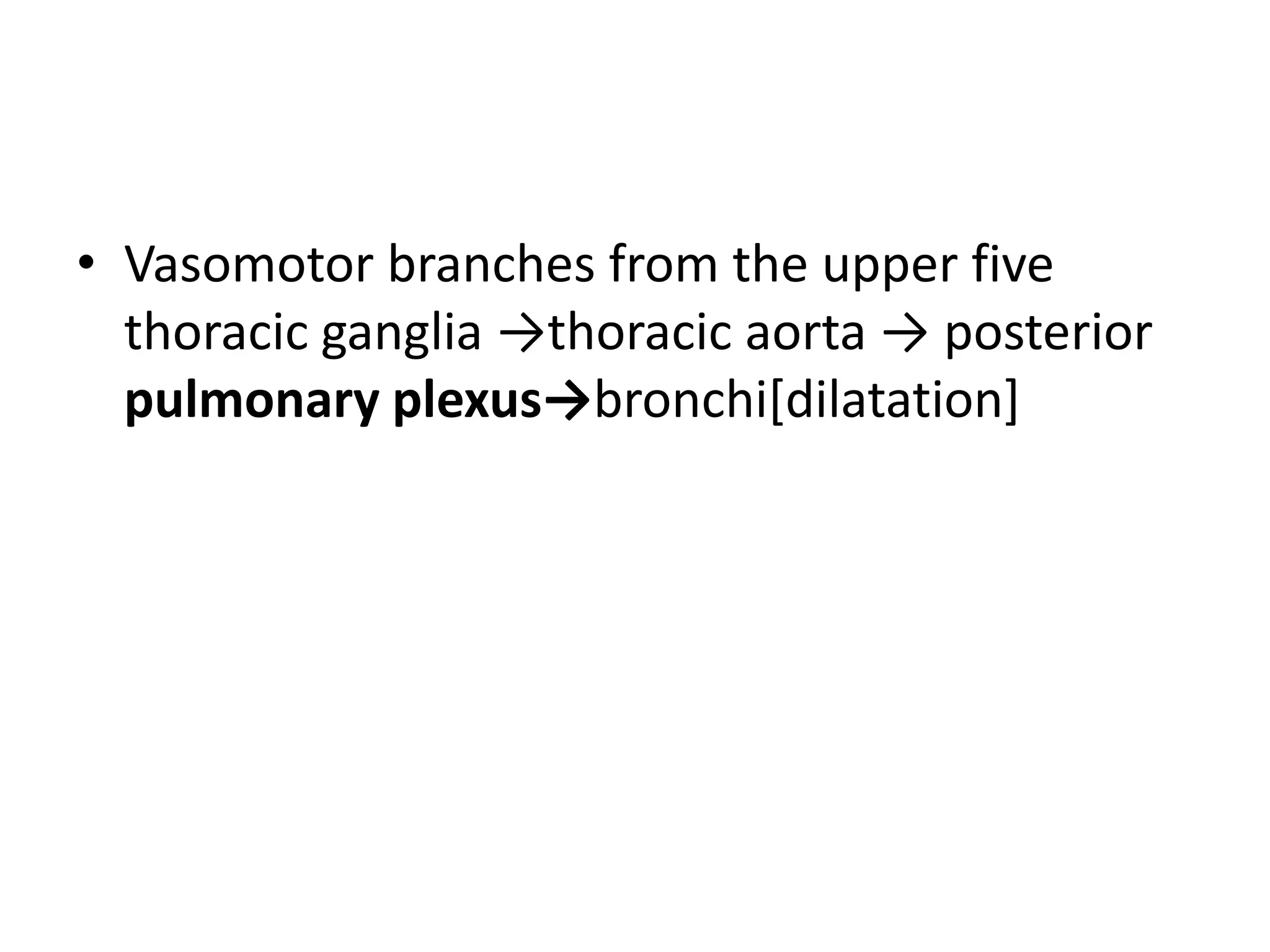 • Vasomotor branches from the upper five
  thoracic ganglia →thoracic aorta → posterior
  pulmonary plexus→bronchi[dilatation]
 