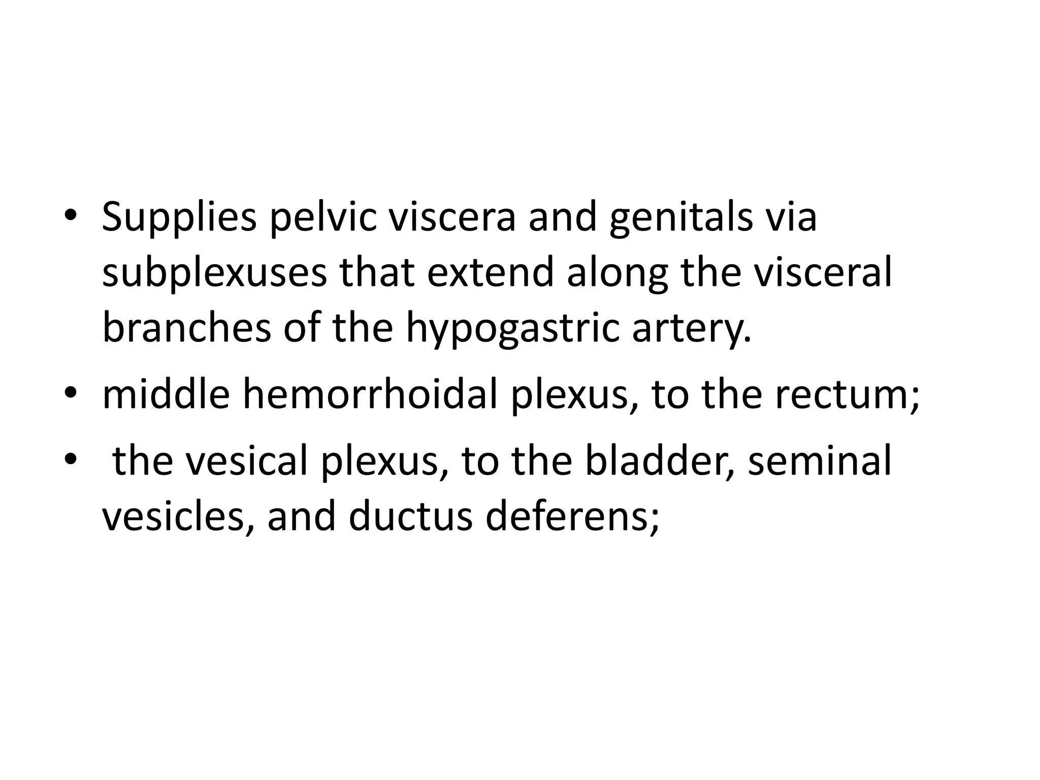 • Supplies pelvic viscera and genitals via
  subplexuses that extend along the visceral
  branches of the hypogastric artery.
• middle hemorrhoidal plexus, to the rectum;
• the vesical plexus, to the bladder, seminal
  vesicles, and ductus deferens;
 