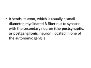 • It sends its axon, which is usually a small-
  diameter, myelinated B fiber out to synapse
  with the secondary neuron (the postsynaptic,
  or postganglionic, neuron) located in one of
  the autonomic ganglia
 