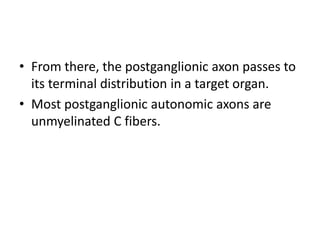 • From there, the postganglionic axon passes to
  its terminal distribution in a target organ.
• Most postganglionic autonomic axons are
  unmyelinated C fibers.
 