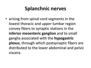 Splanchnic nerves
• arising from spinal cord segments in the
  lowest thoracic and upper lumbar region
  convey fibers to synaptic stations in the
  inferior mesenteric ganglion and to small
  ganglia associated with the hypogastric
  plexus, through which postsynaptic fibers are
  distributed to the lower abdominal and pelvic
  viscera.
 
