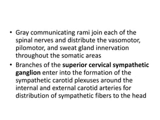 • Gray communicating rami join each of the
  spinal nerves and distribute the vasomotor,
  pilomotor, and sweat gland innervation
  throughout the somatic areas
• Branches of the superior cervical sympathetic
  ganglion enter into the formation of the
  sympathetic carotid plexuses around the
  internal and external carotid arteries for
  distribution of sympathetic fibers to the head
 