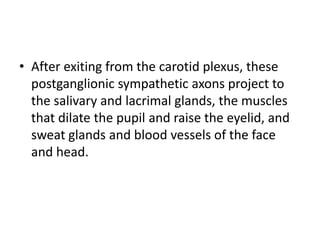 • After exiting from the carotid plexus, these
  postganglionic sympathetic axons project to
  the salivary and lacrimal glands, the muscles
  that dilate the pupil and raise the eyelid, and
  sweat glands and blood vessels of the face
  and head.
 