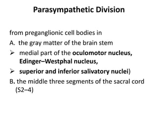 Parasympathetic Division

from preganglionic cell bodies in
A. the gray matter of the brain stem
 medial part of the oculomotor nucleus,
    Edinger–Westphal nucleus,
 superior and inferior salivatory nuclei)
B. the middle three segments of the sacral cord
  (S2–4)
 