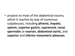 • projects to most of the abdominal viscera,
  which it reaches by way of numerous
  subplexuses, including phrenic, hepatic,
  splenic, superior gastric, suprarenal, renal,
  spermatic or ovarian, abdominal aortic, and
  superior and inferior mesenteric plexuses.
 