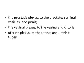 • the prostatic plexus, to the prostate, seminal
  vesicles, and penis;
• the vaginal plexus, to the vagina and clitoris;
• uterine plexus, to the uterus and uterine
  tubes.
 