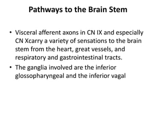 Pathways to the Brain Stem

• Visceral afferent axons in CN IX and especially
  CN Xcarry a variety of sensations to the brain
  stem from the heart, great vessels, and
  respiratory and gastrointestinal tracts.
• The ganglia involved are the inferior
  glossopharyngeal and the inferior vagal
 