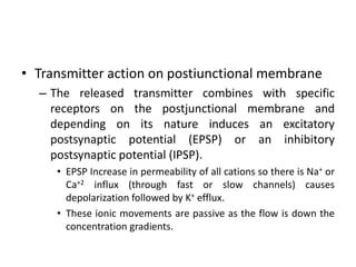 • Transmitter action on postiunctional membrane
  – The released transmitter combines with specific
    receptors on the postjunctional membrane and
    depending on its nature induces an excitatory
    postsynaptic potential (EPSP) or an inhibitory
    postsynaptic potential (IPSP).
     • EPSP Increase in permeability of all cations so there is Na+ or
       Ca+2 influx (through fast or slow channels) causes
       depolarization followed by K+ efflux.
     • These ionic movements are passive as the flow is down the
       concentration gradients.
 