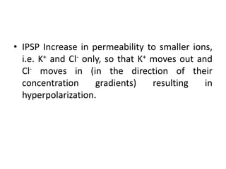 • IPSP Increase in permeability to smaller ions,
  i.e. K+ and Cl- only, so that K+ moves out and
  Cl- moves in (in the direction of their
  concentration      gradients)    resulting   in
  hyperpolarization.
 