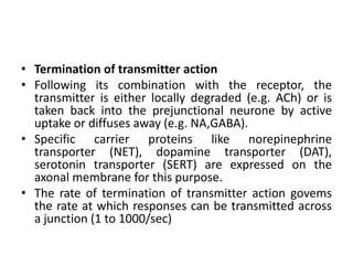 • Termination of transmitter action
• Following its combination with the receptor, the
  transmitter is either locally degraded (e.g. ACh) or is
  taken back into the prejunctional neurone by active
  uptake or diffuses away (e.g. NA,GABA).
• Specific carrier proteins like norepinephrine
  transporter (NET), dopamine transporter (DAT),
  serotonin transporter (SERT) are expressed on the
  axonal membrane for this purpose.
• The rate of termination of transmitter action govems
  the rate at which responses can be transmitted across
  a junction (1 to 1000/sec)
 