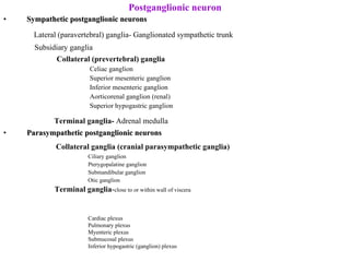 Postganglionic neuron Sympathetic postganglionic neurons Lateral (paravertebral) ganglia- Ganglionated sympathetic trunk Subsidiary ganglia  Collateral (prevertebral) ganglia Celiac ganglion Superior mesenteric ganglion Inferior mesenteric ganglion Aorticorenal ganglion (renal) Superior hypogastric ganglion Terminal ganglia-  Adrenal medulla Parasympathetic postganglionic neurons Collateral ganglia (cranial parasympathetic ganglia) Ciliary ganglion Pterygopalatine ganglion Submandibular ganglion Otic ganglion Terminal ganglia - close to or within wall of viscera Cardiac plexus Pulmonary plexus Myenteric plexus Submucosal plexus Inferior hypogastric (ganglion) plexus 
