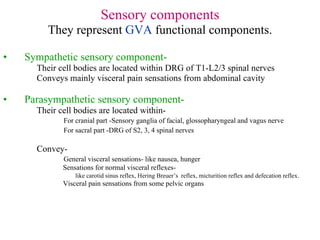 Sensory components They represent  GVA  functional components. Sympathetic sensory component- Their cell bodies are located within DRG of T1-L2/3 spinal nerves Conveys mainly visceral pain sensations from abdominal cavity Parasympathetic sensory component- Their cell bodies are located within- For cranial part -Sensory ganglia of facial, glossopharyngeal and vagus nerve For sacral part -DRG of S2, 3, 4 spinal nerves Convey- General visceral sensations- like nausea, hunger Sensations for normal visceral reflexes-  like carotid sinus reflex, Hering Breuer’s  reflex, micturition reflex and defecation reflex. Visceral pain sensations from some pelvic organs 