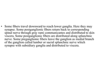 Some fibers travel downward to reach lower ganglia. Here they may synapse. Some postganglionic fibers return back to corresponding spinal nerve through gray rami communicantes and distributed to skin viscera. Some postganglionic fibers are distributed along splanchnic nerve. Some preganglionic fibers leave the ganglion as medial branch of the ganglion called lumber or sacral splanchnic nerve which synapse with subsidiary ganglia and distributed to viscera.  