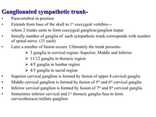 Ganglionated sympathetic trunk- Paravertebral in position Extends from base of the skull to 1 st  coccygeal vertebra--- where 2 trunks unite to form coccygeal ganglion/ganglion impar Initially number of ganglia of  each sympathetic trunk corresponds with number of spinal nerve. (31 each) Later a number of fusion occurs. Ultimately the trunk presents- 3 ganglia in cervical region- Superior, Middle and Inferior 11/12 ganglia in thoracic region 4/5 ganglia in lumbar region 4/5 ganglia in sacral region Superior cervical ganglion is formed by fusion of upper 4 cervical ganglia Middle cervical ganglion is formed by fusion of 5 th  and 6 th  cervical ganglia Inferior cervical ganglion is formed by fusion of 7 th  and 8 th  cervical ganglia Sometimes inferior cervical and 1 st  thoracic ganglia fuse to form cervicothoracic/stellate ganglion 