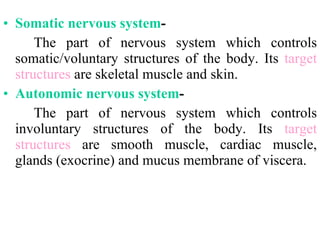 Somatic nervous   system - The part of nervous system which controls somatic/voluntary structures of the body. Its  target structures  are skeletal muscle and skin. Autonomic nervous   system - The part of nervous system which controls involuntary structures of the body. Its  target structures  are smooth muscle, cardiac muscle, glands (exocrine) and mucus membrane of viscera. 