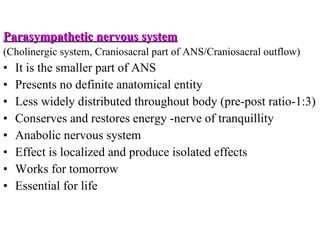 Parasympathetic nervous system (Cholinergic system, Craniosacral part of ANS/Craniosacral outflow) It is the smaller part of ANS Presents no definite anatomical entity Less widely distributed throughout body (pre-post ratio-1:3) Conserves and restores energy -nerve of tranquillity Anabolic nervous system Effect is localized and produce isolated effects Works for tomorrow Essential for life 