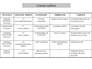 Cranial outflow SMOOTH MUSCLE CARDIAC MUSCLE GLANDS - ORGAN WALL (Intramural ganglion) C10: VAGUS NERVE DORSAL NUCLEUS PAROTID GLAND AURICULOTEMPORAL NERVE OTIC GANGLION C9: GLOSSOPHARYNGEAL NERVE INFERIOR SALIVATORY NUCLEUS SUBMANDIBULAR GLAND SUBLINGUAL GLAND LINGUAL NERVE SUBMANDIBULAR GANGLION C7: FACIAL NERVE SUPERIOR SALIVATORY NUCLEUS LACRIMAL GLAND Other glands LACRIMAL NERVE PTERYGOPALATINE GANGLION C7: FACIAL NERVE LACRIMATORY NUCLEUS CONSTRICTOR PUPILLAE CILIARY MUSCLE SHORT CILIARY NERVE CILIARY GANGLION C3: OCCULOMOTOR NERVE EDINGER WESTPHAL NUCLEUS TARGET THROUGH GANGLION CRANIAL NERVE NUCLEUS 