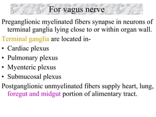 For vagus nerve Preganglionic myelinated fibers synapse in neurons of terminal ganglia lying close to or within organ wall. Terminal ganglia  are located in- Cardiac plexus Pulmonary plexus Myenteric plexus Submucosal plexus Postganglionic unmyelinated fibers supply heart, lung,  foregut and midgut  portion of alimentary tract. 
