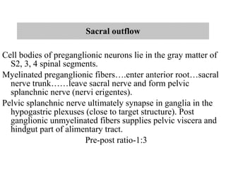 Sacral outflow Cell bodies of preganglionic neurons lie in the gray matter of S2, 3, 4 spinal segments. Myelinated preganglionic fibers….enter anterior root…sacral nerve trunk……leave sacral nerve and form pelvic splanchnic nerve (nervi erigentes). Pelvic splanchnic nerve ultimately synapse in ganglia in the hypogastric plexuses (close to target structure). Post ganglionic unmyelinated fibers supplies pelvic viscera and hindgut part of alimentary tract. Pre-post ratio-1:3 