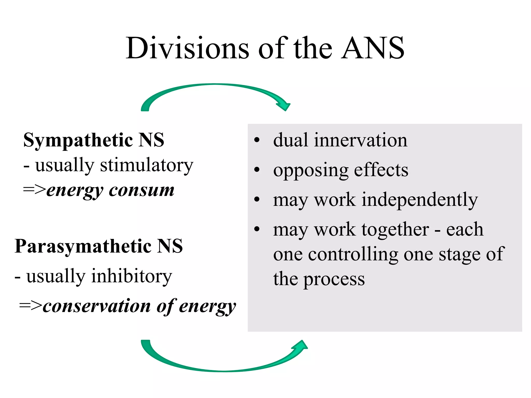 Divisions of the ANS

Sympathetic NS              •   dual innervation
- usually stimulatory       •   opposing effects
=>energy consum             •   may work independently
                            •   may work together - each
Parasymathetic NS               one controlling one stage of
- usually inhibitory            the process
 =>conservation of energy
 
