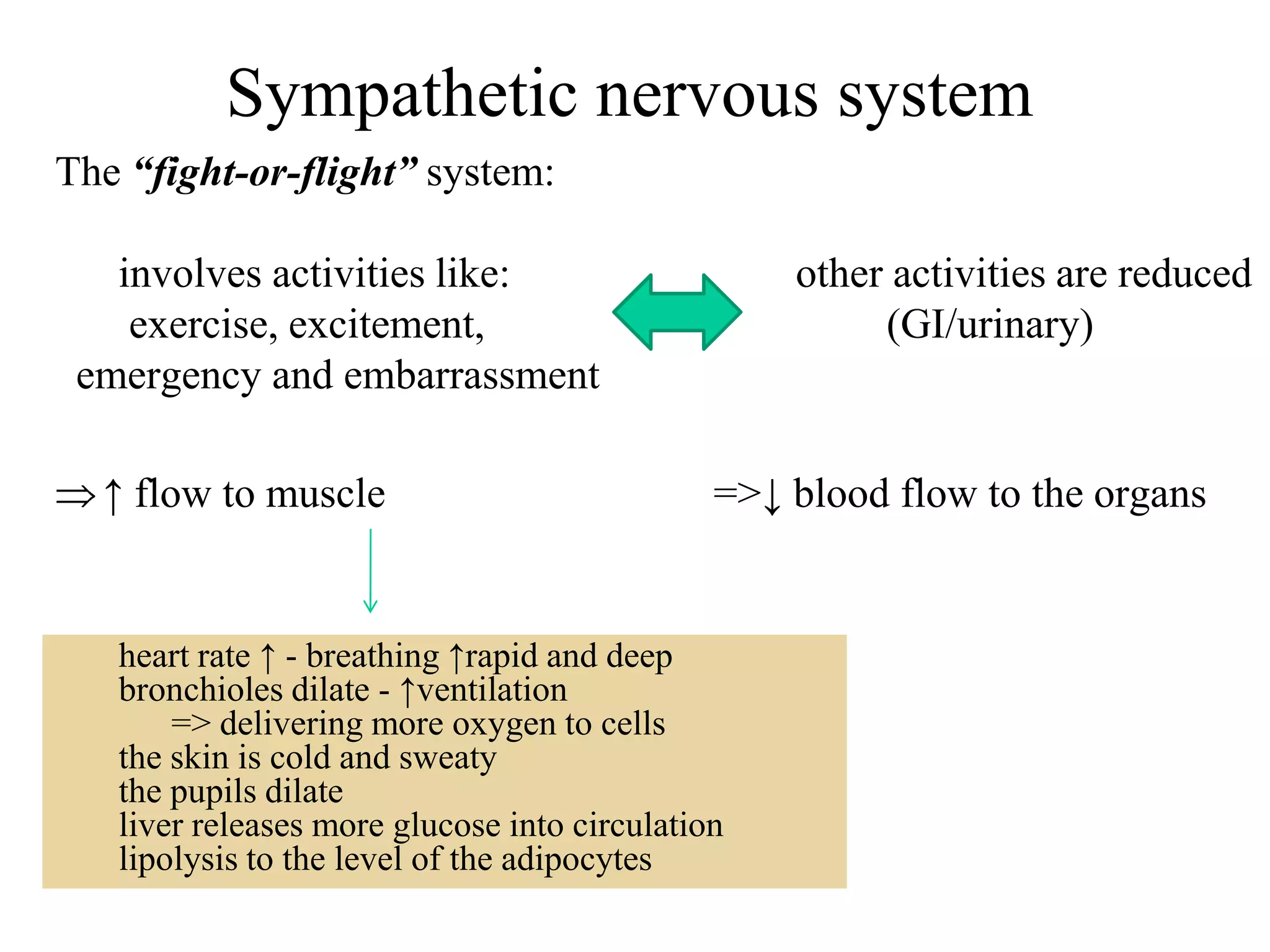 Sympathetic nervous system
The “fight-or-flight” system:

   involves activities like:                      other activities are reduced
    exercise, excitement,                              (GI/urinary)
 emergency and embarrassment

  ↑ flow to muscle                            =>↓ blood flow to the organs


   heart rate ↑ - breathing ↑rapid and deep
   bronchioles dilate - ↑ventilation
       => delivering more oxygen to cells
   the skin is cold and sweaty
   the pupils dilate
   liver releases more glucose into circulation
   lipolysis to the level of the adipocytes
 