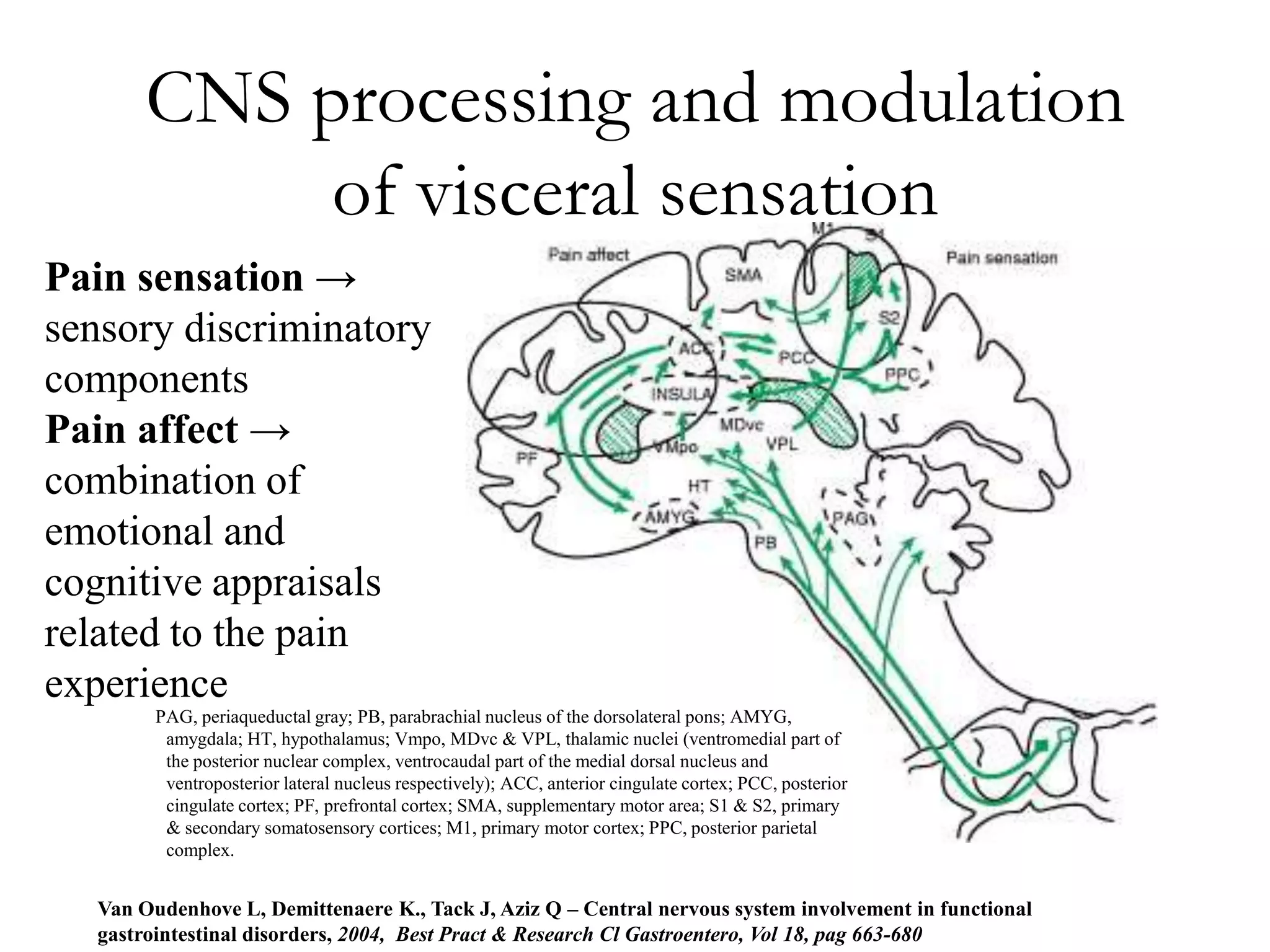 CNS processing and modulation
             of visceral sensation
Pain sensation →
sensory discriminatory
components
Pain affect →
combination of
emotional and
cognitive appraisals
related to the pain
experience
         PAG, periaqueductal gray; PB, parabrachial nucleus of the dorsolateral pons; AMYG,
          amygdala; HT, hypothalamus; Vmpo, MDvc & VPL, thalamic nuclei (ventromedial part of
          the posterior nuclear complex, ventrocaudal part of the medial dorsal nucleus and
          ventroposterior lateral nucleus respectively); ACC, anterior cingulate cortex; PCC, posterior
          cingulate cortex; PF, prefrontal cortex; SMA, supplementary motor area; S1 & S2, primary
          & secondary somatosensory cortices; M1, primary motor cortex; PPC, posterior parietal
          complex.


   Van Oudenhove L, Demittenaere K., Tack J, Aziz Q – Central nervous system involvement in functional
   gastrointestinal disorders, 2004, Best Pract & Research Cl Gastroentero, Vol 18, pag 663-680
 