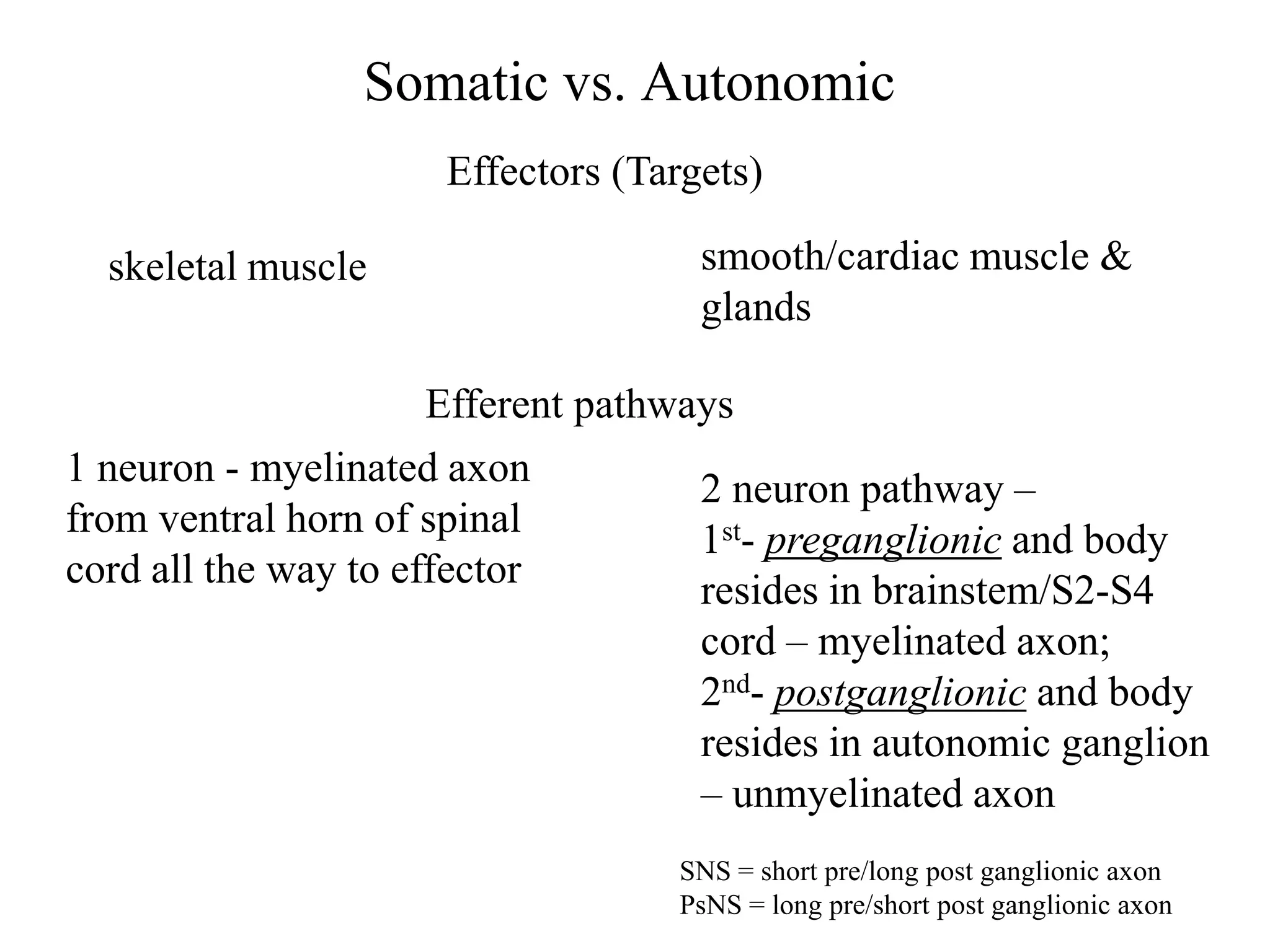 Somatic vs. Autonomic
                      Effectors (Targets)

  skeletal muscle                    smooth/cardiac muscle &
                                     glands

                      Efferent pathways
1 neuron - myelinated axon           2 neuron pathway –
from ventral horn of spinal
                                     1st- preganglionic and body
cord all the way to effector         resides in brainstem/S2-S4
                                     cord – myelinated axon;
                                     2nd- postganglionic and body
                                     resides in autonomic ganglion
                                     – unmyelinated axon
                                   SNS = short pre/long post ganglionic axon
                                   PsNS = long pre/short post ganglionic axon
 