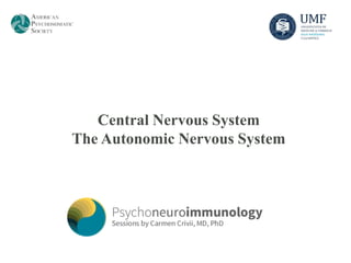 Central Nervous System
The Autonomic Nervous System
 