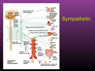 11
SympatheticSympathetic
 