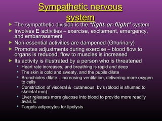 Sympathetic nervousSympathetic nervous
systemsystem
► The sympathetic division is theThe sympathetic division is the “fight-or-flight”“fight-or-flight” systemsystem
► InvolvesInvolves EE activities – exercise, excitement, emergency,activities – exercise, excitement, emergency,
and embarrassmentand embarrassment
► Non-essential activities are dampened (GI/urinary)Non-essential activities are dampened (GI/urinary)
► Promotes adjustments during exercise – blood flow toPromotes adjustments during exercise – blood flow to
organs is reduced, flow to muscles is increasedorgans is reduced, flow to muscles is increased
► Its activity is illustrated by a person who is threatenedIts activity is illustrated by a person who is threatened
 Heart rate increases, and breathing is rapid and deepHeart rate increases, and breathing is rapid and deep
 The skin is cold and sweaty, and the pupils dilateThe skin is cold and sweaty, and the pupils dilate
 Bronchioles dilate…increasing ventilation, delivering more oxygenBronchioles dilate…increasing ventilation, delivering more oxygen
to cellsto cells
 Constriction of visceral & cutaneous bv’s (blood is shunted toConstriction of visceral & cutaneous bv’s (blood is shunted to
skeletal mm)skeletal mm)
 Liver releases more glucose into blood to provide more readilyLiver releases more glucose into blood to provide more readily
avail. Eavail. E
 Targets adipocytes for lipolysisTargets adipocytes for lipolysis
 