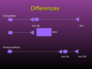 DifferencesDifferences
Ach (N)
Ach (N) Ach (M)
Nor
Sympathetic
Parasympathetic
Adre
 
