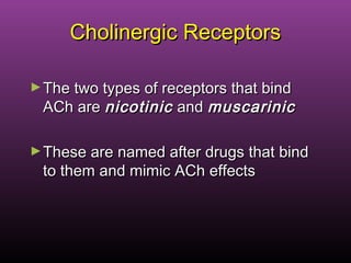 Cholinergic ReceptorsCholinergic Receptors
►The two types of receptors that bindThe two types of receptors that bind
ACh areACh are nicotinicnicotinic andand muscarinicmuscarinic
►These are named after drugs that bindThese are named after drugs that bind
to them and mimic ACh effectsto them and mimic ACh effects
 