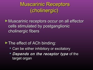 Muscarinic ReceptorsMuscarinic Receptors
(cholinergic)(cholinergic)
►Muscarinic receptors occur on all effectorMuscarinic receptors occur on all effector
cells stimulated by postganglioniccells stimulated by postganglionic
cholinergic fiberscholinergic fibers
►The effect of ACh binding:The effect of ACh binding:
 Can be either inhibitory or excitatoryCan be either inhibitory or excitatory
 Depends on the receptor typeDepends on the receptor type of theof the
target organtarget organ
 