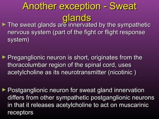 Another exception - SweatAnother exception - Sweat
glandsglands
► The sweat glands are innervated by the sympatheticThe sweat glands are innervated by the sympathetic
nervous system (part of the fight or flight responsenervous system (part of the fight or flight response
system)system)
► Preganglionic neuron is short, originates from thePreganglionic neuron is short, originates from the
thoracolumbar region of the spinal cord, usesthoracolumbar region of the spinal cord, uses
acetylcholine as its neurotransmitter (nicotinic )acetylcholine as its neurotransmitter (nicotinic )
► Postganglionic neuron for sweat gland innervationPostganglionic neuron for sweat gland innervation
differs from other sympathetic postganglionic neuronsdiffers from other sympathetic postganglionic neurons
in that it releases acetylcholine to act on muscarinicin that it releases acetylcholine to act on muscarinic
receptorsreceptors
 