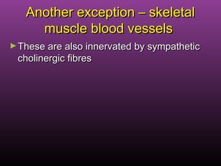 Another exception – skeletalAnother exception – skeletal
muscle blood vesselsmuscle blood vessels
►These are also innervated by sympatheticThese are also innervated by sympathetic
cholinergic fibrescholinergic fibres
 