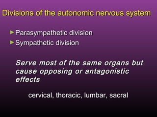 Divisions of the autonomic nervous systemDivisions of the autonomic nervous system
►Parasympathetic divisionParasympathetic division
►Sympathetic divisionSympathetic division
Serve most of the same organs butServe most of the same organs but
cause opposing or antagonisticcause opposing or antagonistic
effectseffects
cervical, thoracic, lumbar, sacral
 