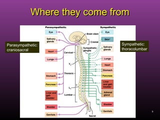 9
Where they come fromWhere they come from
Parasympathetic:
craniosacral
Sympathetic:
thoracolumbar
 
