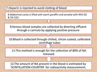 7.Heparin is injected to avoid clotting of blood
9.Venous blood samples are collected by diverting effluent
through a cannula by applying positive pressure
10.Blood is collected through chilled, silicon coated, calibrated
centrifuge tubes
11.This method is enough for the collection of 80% of NA
released.
12.The amount of NA present in the blood is estimated by
`SCINTILLATION COUNTER for radioactivity measurement.
8.Abdominal cavity is filled with warm paraffin and aerated with 95% O2
& 5% CO2
 