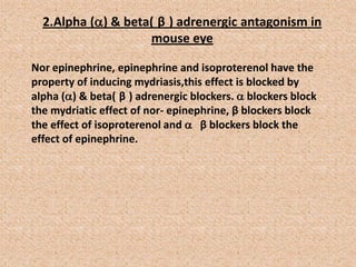 2.Alpha () & beta( β ) adrenergic antagonism in
mouse eye
Nor epinephrine, epinephrine and isoproterenol have the
property of inducing mydriasis,this effect is blocked by
alpha () & beta( β ) adrenergic blockers.  blockers block
the mydriatic effect of nor- epinephrine, β blockers block
the effect of isoproterenol and  β blockers block the
effect of epinephrine.
 