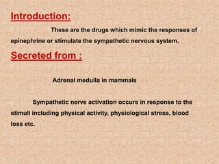 Introduction:
These are the drugs which mimic the responses of
epinephrine or stimulate the sympathetic nervous system.
Secreted from :
Adrenal medulla in mammals
Sympathetic nerve activation occurs in response to the
stimuli including physical activity, physiological stress, blood
loss etc.
 