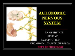 AUTONOMIC 
NERVOUS 
SYSTEM 
DR NILESH KATE 
MBBS,MD 
ASSOCIATE PROF 
ESIC MEDICAL COLLEGE, GULBARGA. 
DEPT. OF PHYSIOLOGY 
 