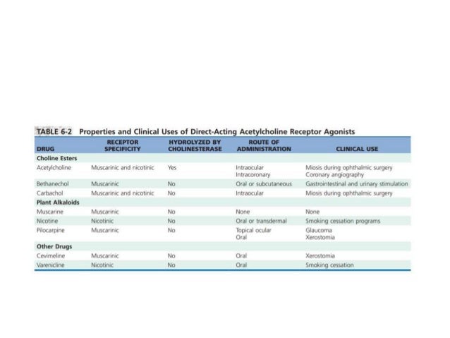 Exelon patch to oral conversion