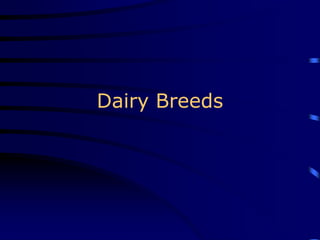 Dairy Breeds
 