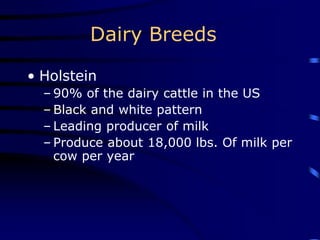 Dairy Breeds
• Holstein
– 90% of the dairy cattle in the US
– Black and white pattern
– Leading producer of milk
– Produce about 18,000 lbs. Of milk per
cow per year
 