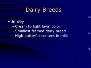 Dairy Breeds
• Jersey
– Cream to light fawn color
– Smallest framed dairy breed
– High butterfat content in milk
 